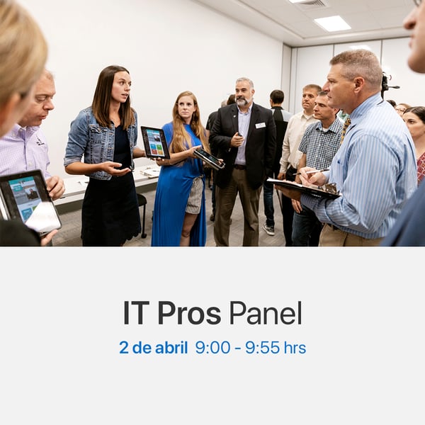 IT_pros_panel_1